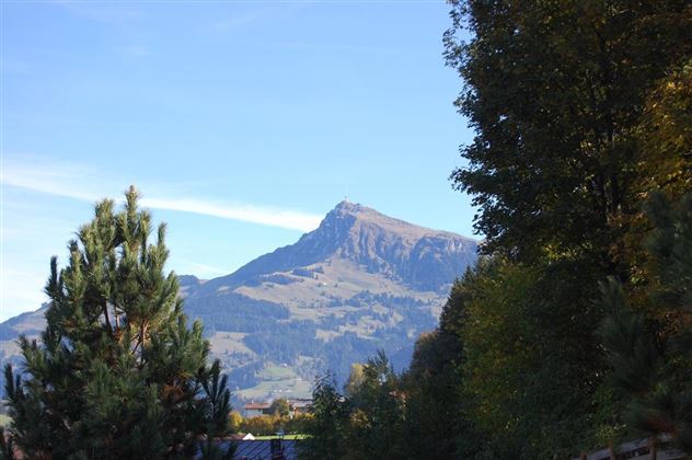 Ausblick auf Kitzbüheler Horn im Sommer