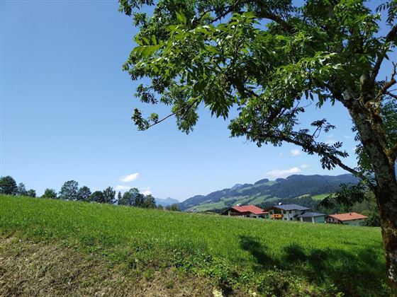 Ausblick Gomerhäusl Ebbs