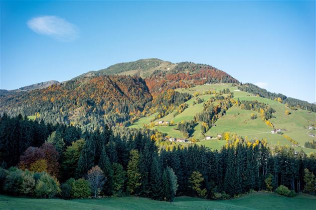 Ausblick Herbst