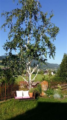 Ausblick in unseren Sommergarten