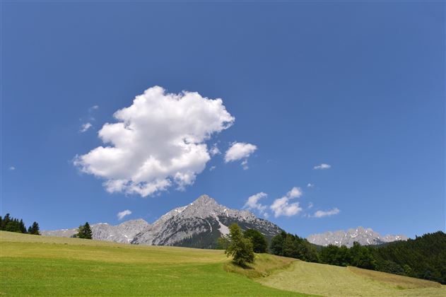 Ausblick Sommer