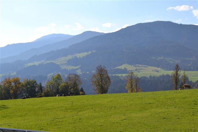 Ausblick Terrasse_2