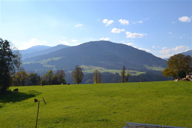 Ausblick Terrasse