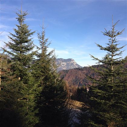 Ausblick von der Terrasse