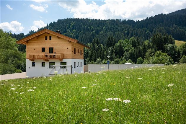 Aussenansicht Haus Sommer (1)