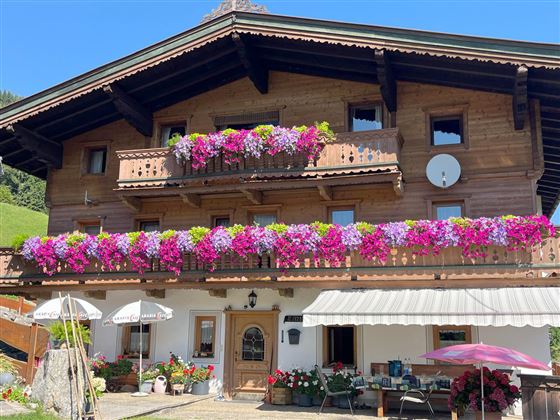 Außenansicht Sommer