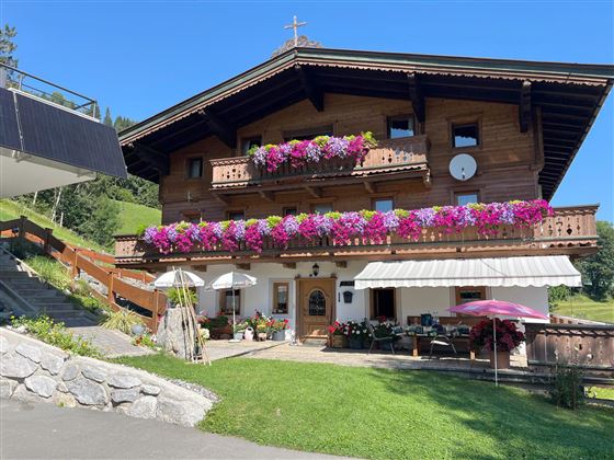Außenansicht Sommer mit Garten