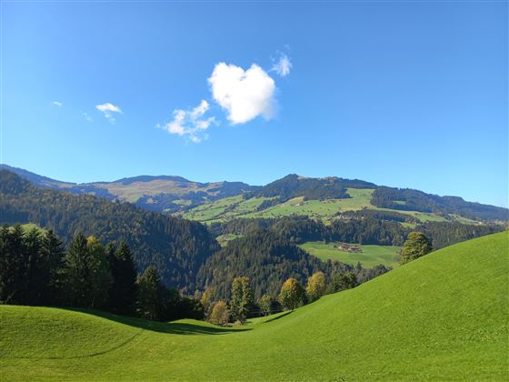 Aussicht 2