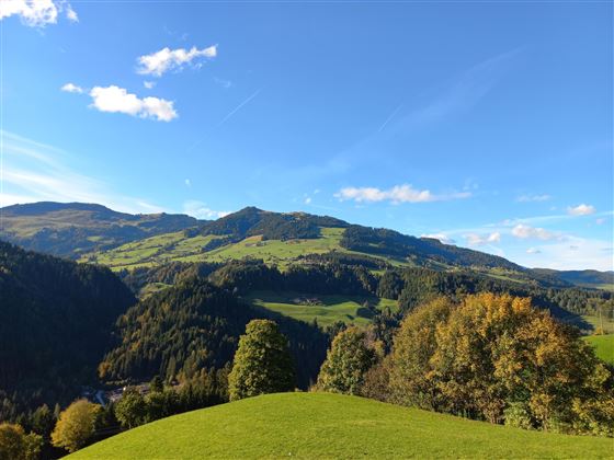 Aussicht 3