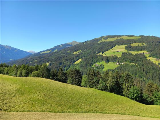 Aussicht 4