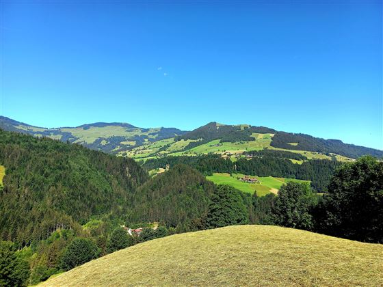 Aussicht 5