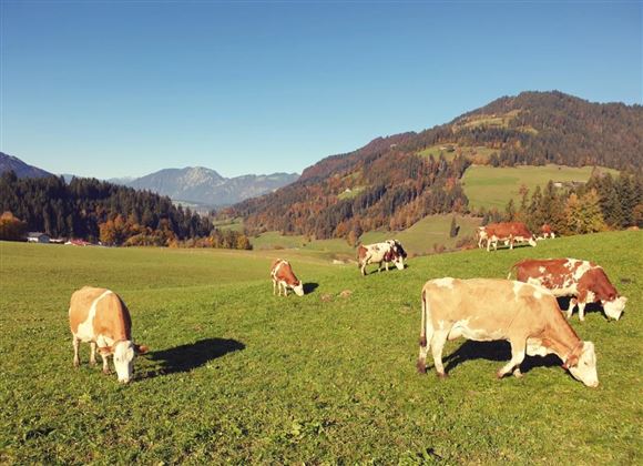 Aussicht