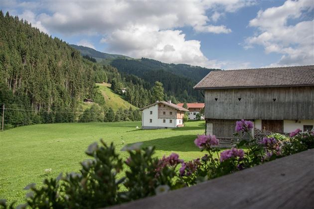 Aussicht