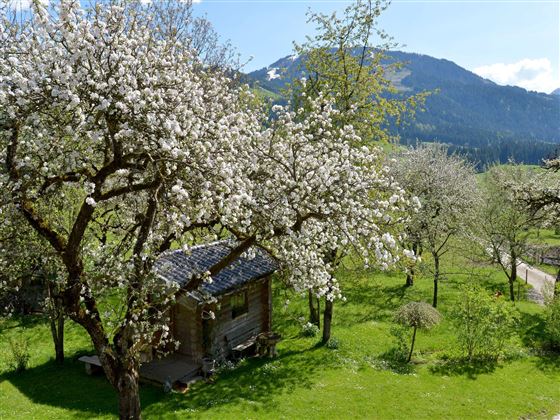 Aussicht