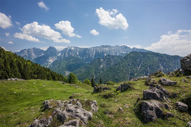 Aussicht