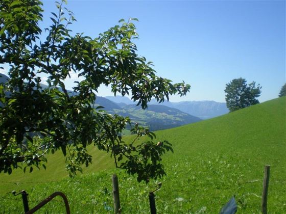Aussicht 3