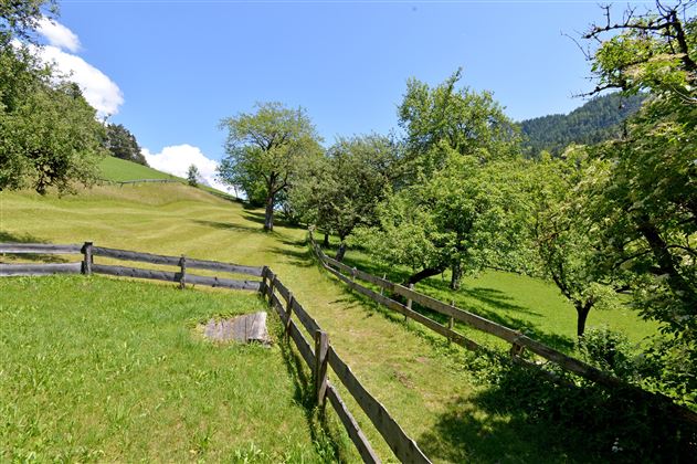 Aussicht