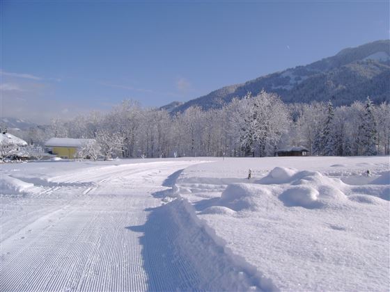 Aussicht Brandstadl WI neu