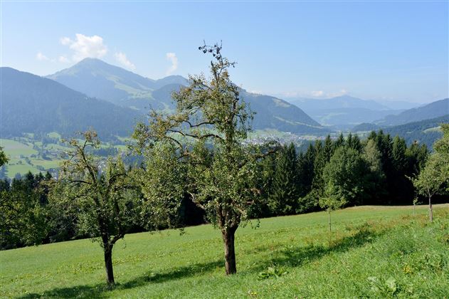 Aussicht Hohe Salve