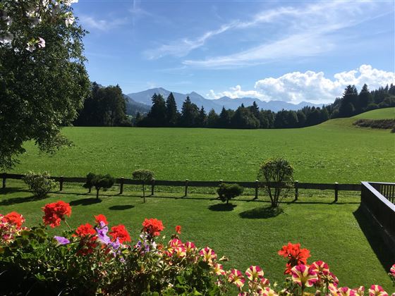 Aussicht im Sommer