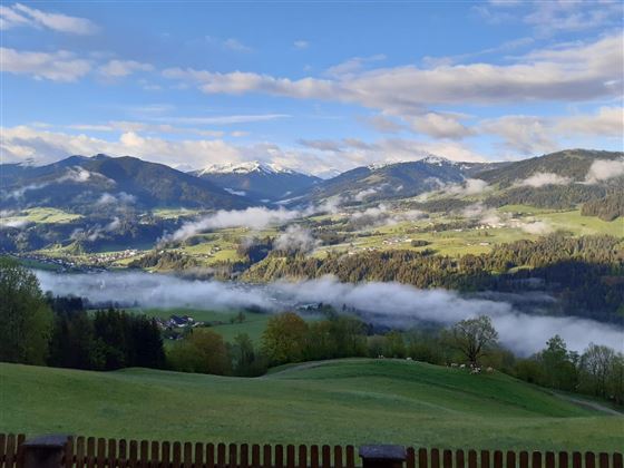 Aussicht Nebel