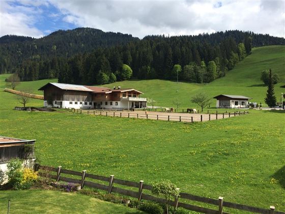 Aussicht Sommer