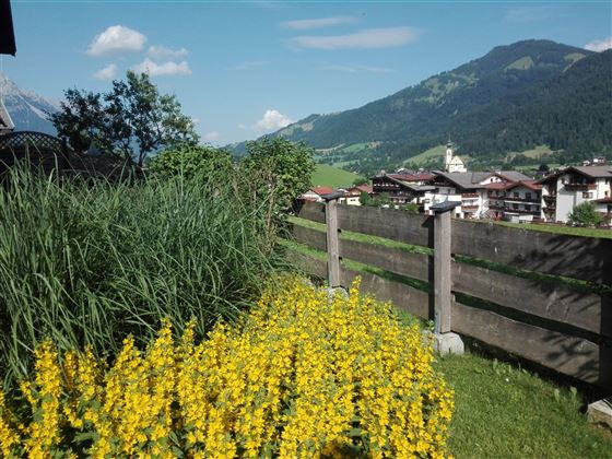 Aussicht Sommer