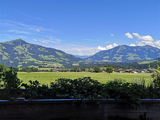 Aussicht Terrasse