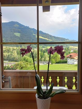 Aussicht vom Appartement zur Choralpe