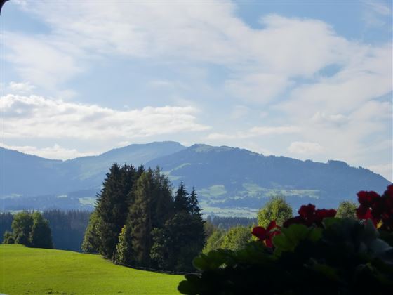 Aussicht von Appartement Nr. 1 u. Nr. 2