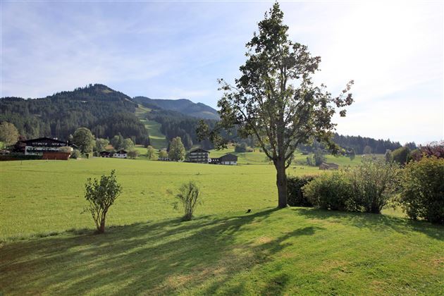 Aussicht von der Terasse