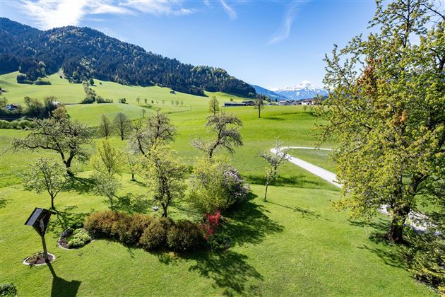Aussicht2