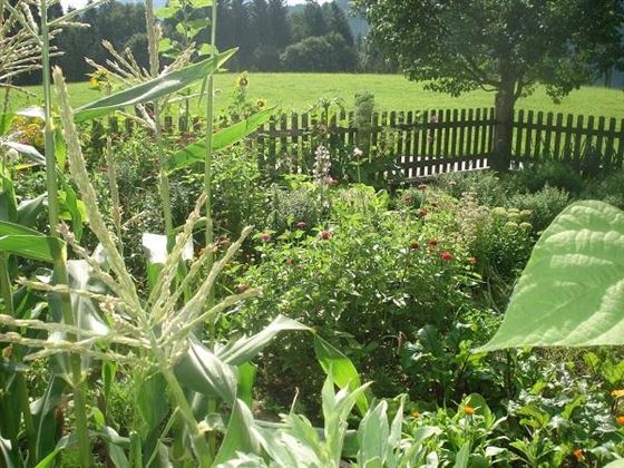 Bauerngarten