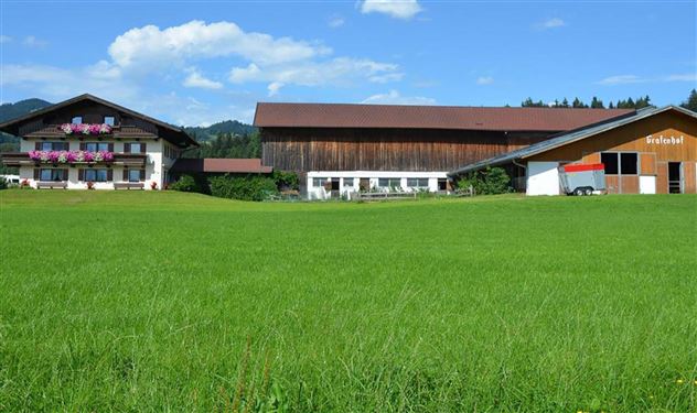 Bauernhof Grafenhof Ebbs Hofansicht Sommer