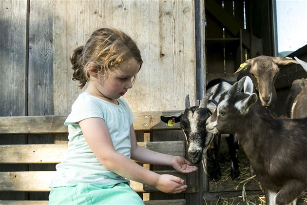 Bauernhof Großwolfing Ebbs - Kind mit Ziegen