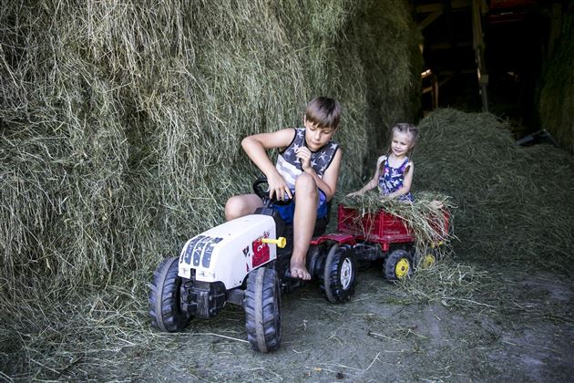 Bauernhof Großwolfing Ebbs - Kinder Traktor