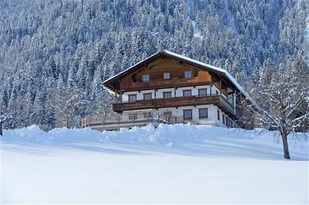 Bauernhof-Schwazer-Soell-Reit-12-Hannelore-Schachn