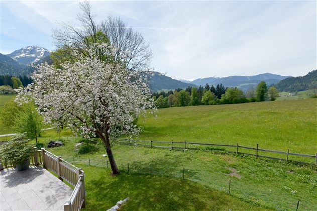 Bauernhof-Schwazer-Soell-Reit-12-Hannelore-Schachn