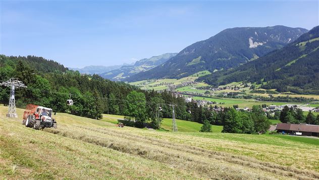 Beim Heuen