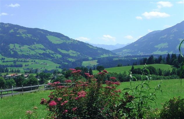 BILD0548