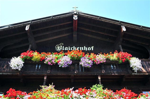 Blaikenhof-Niedermoser-Sommer-Header