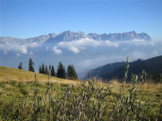 Blick auf das Kaisergebirge