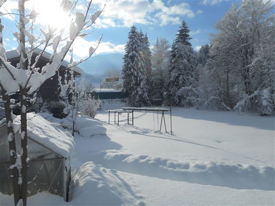Views of the garden