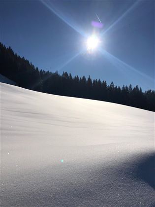 Blick  auf die frisch verschneite Wiese