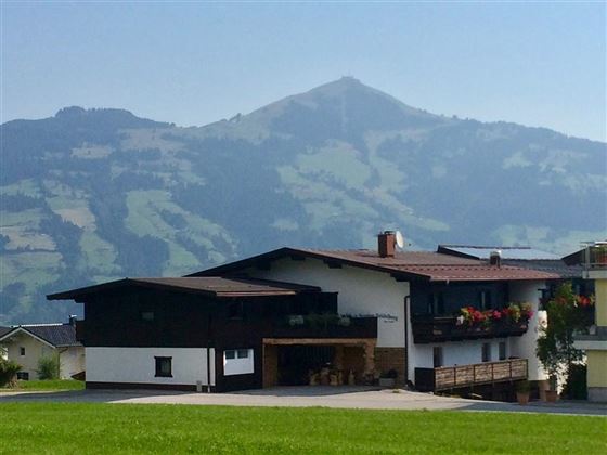Blick auf die Hohe Salve - Sommer