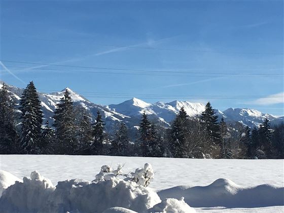 Blick auf die Kitzbüheler Alpen