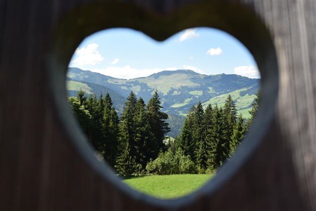 Blick auf die umliegende Bergwelt