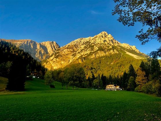 Blick auf Treffauer