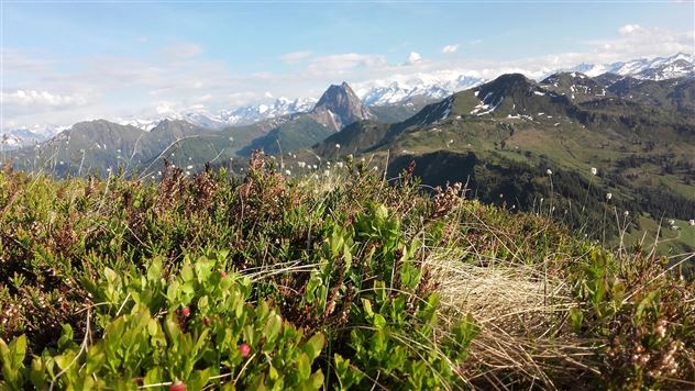 Blick Brechhorn - Rettenstein