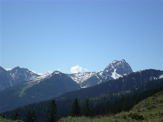 Blick Harlassanger Richtung Rettenstein